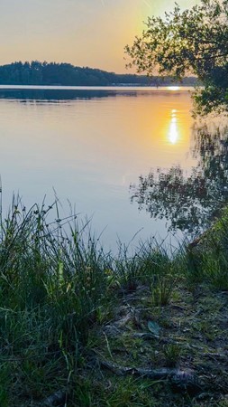 202507 Dorperrheideweg 34-2214 Arcen-23.jpg